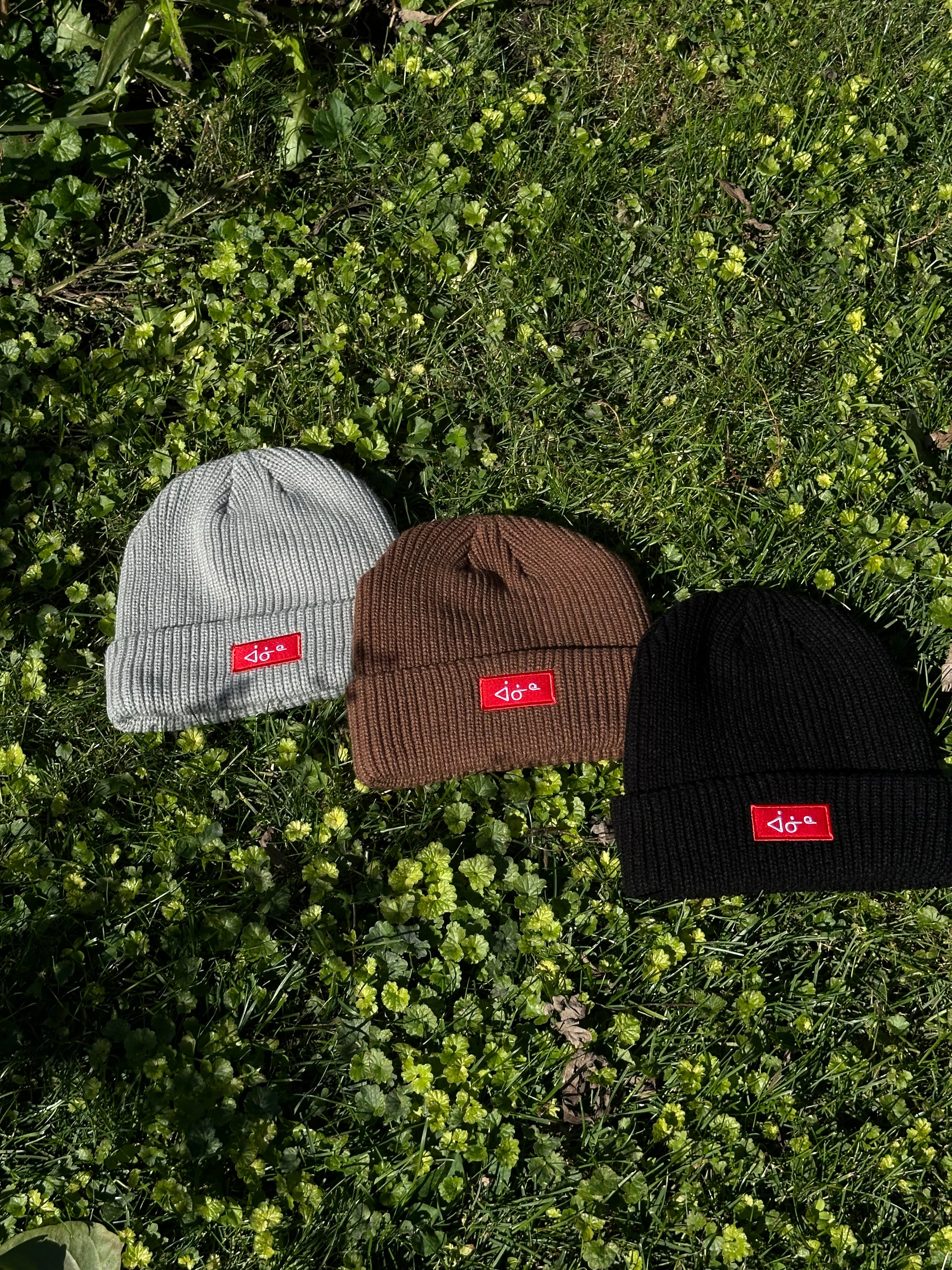 aaniin Beanie
