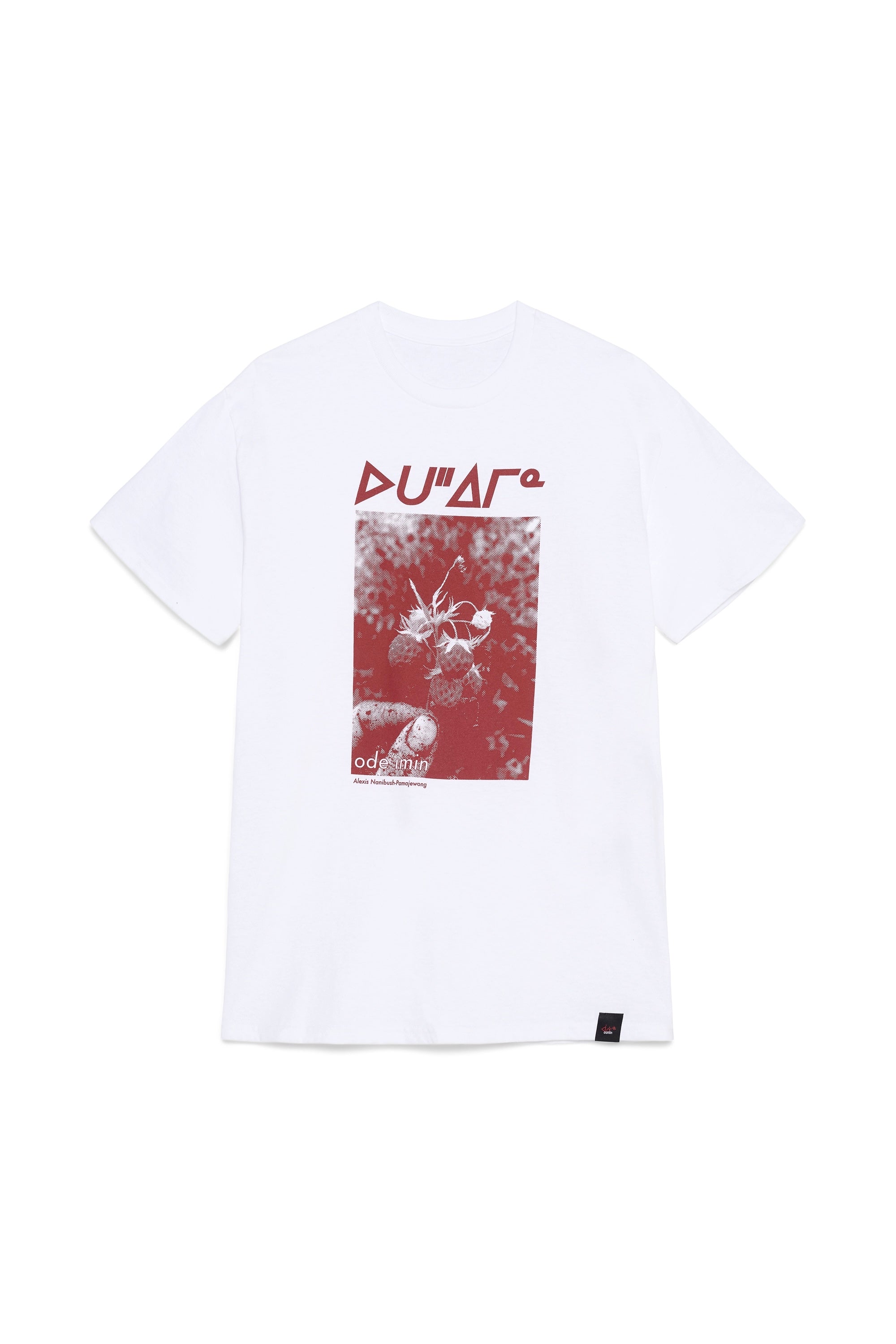 X ANP Ode&
