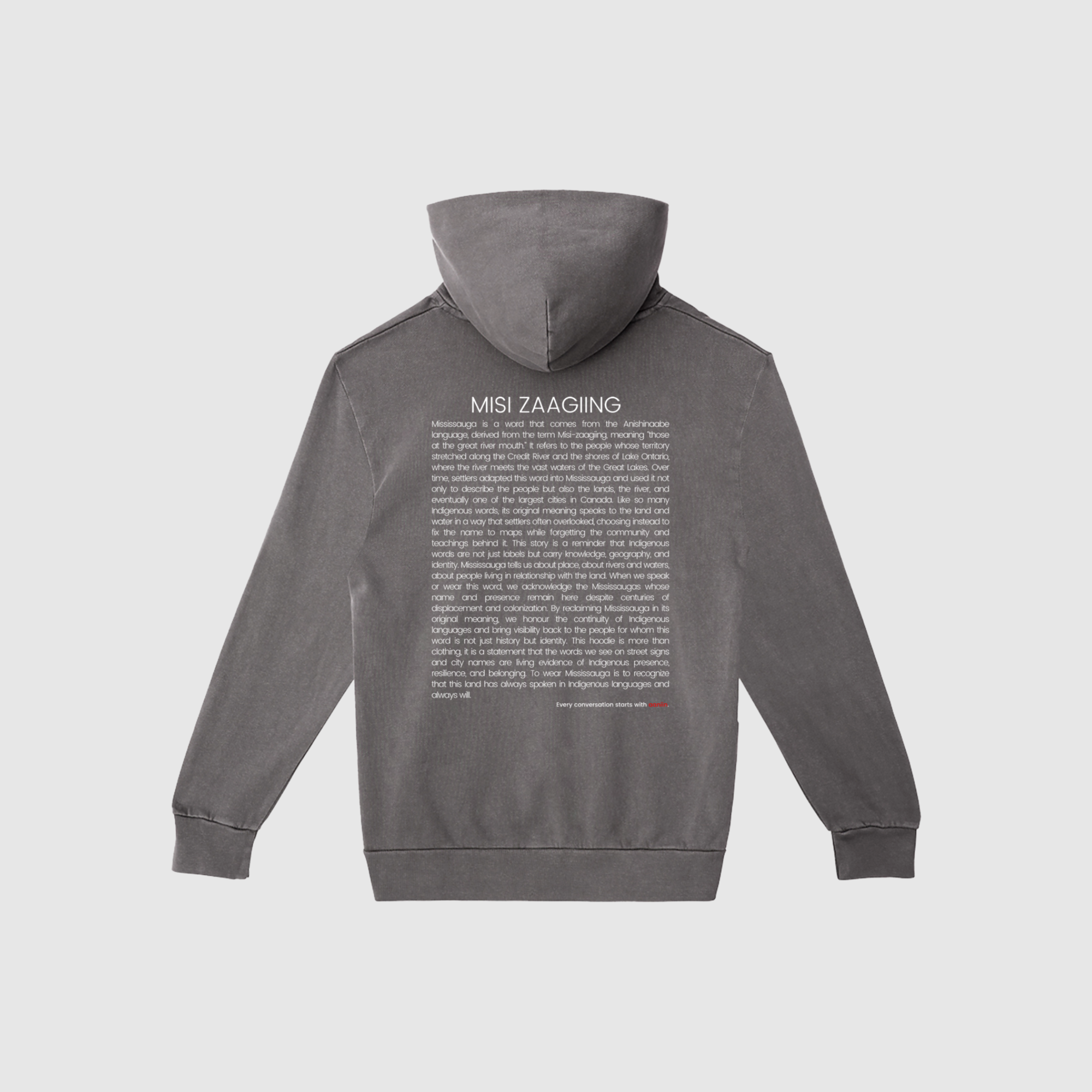 misi zaagiing - more than land: hoodie