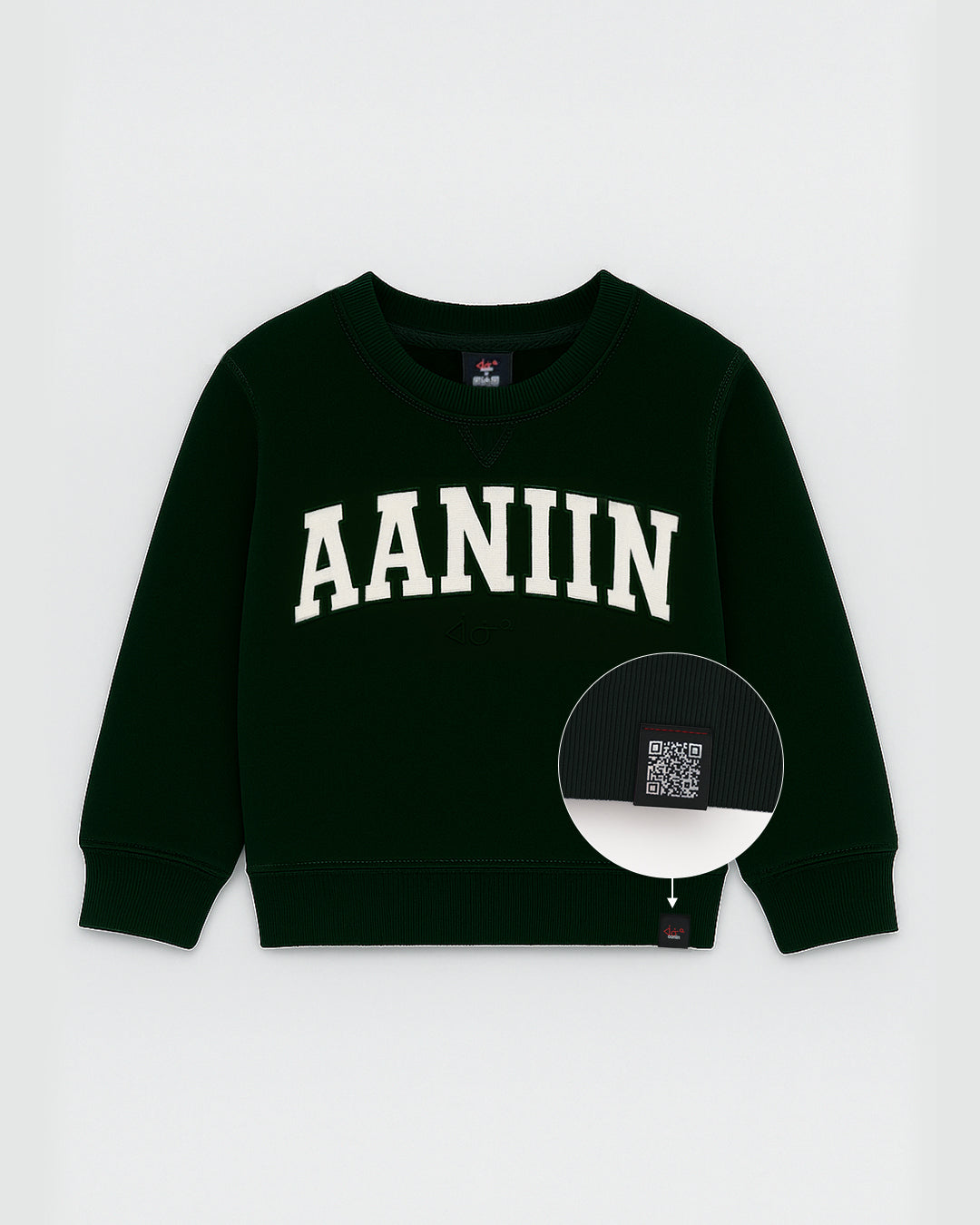 Every conversation starts with aaniin in this best selling YOUTH green sweatshirt with &