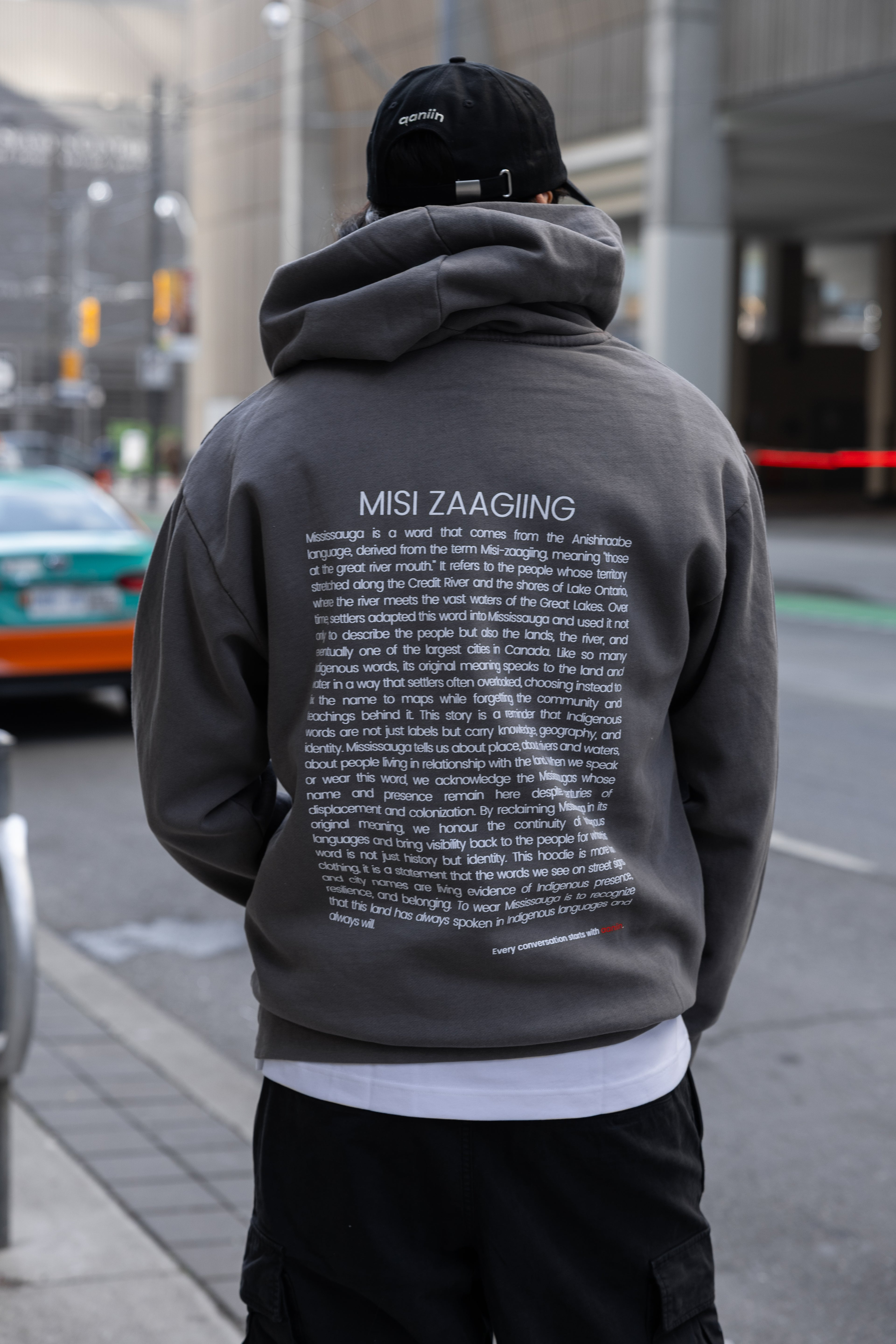 misi zaagiing - more than land: hoodie