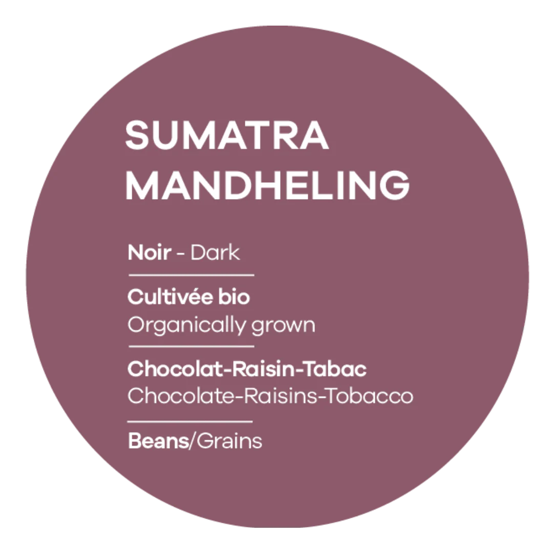 Sumatra Mandheling