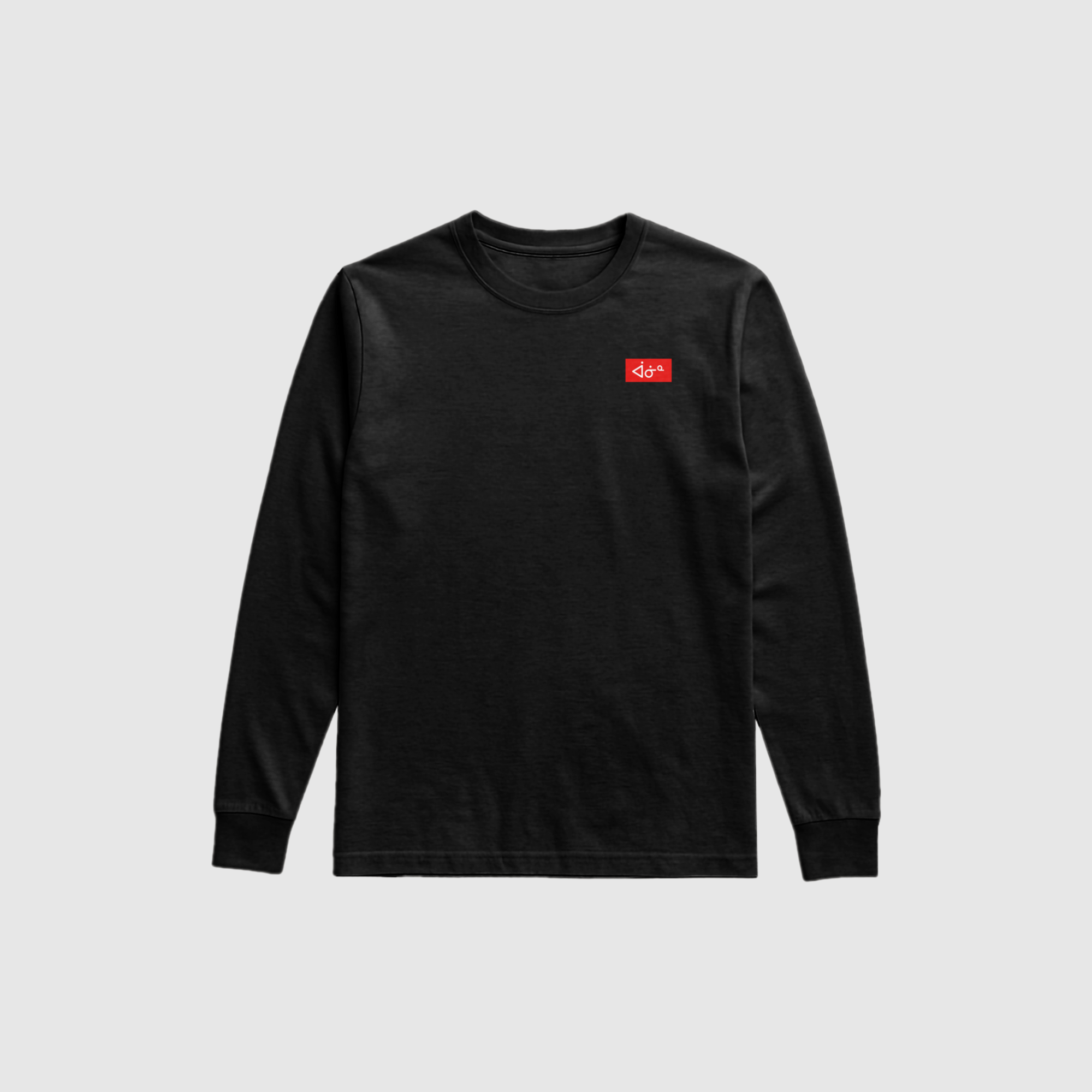 aaniin Box Logo LS Tee