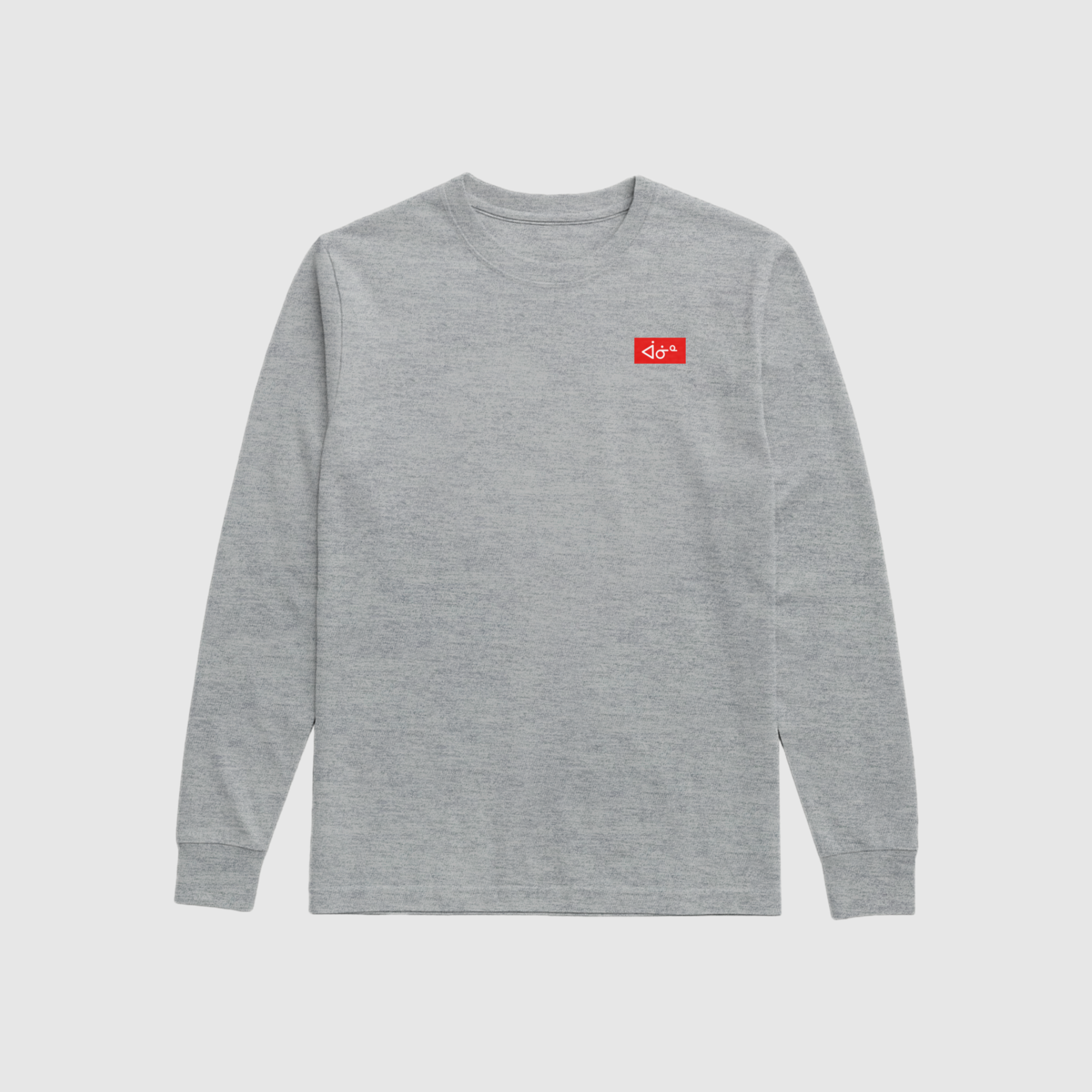 aaniin Box Logo LS Tee