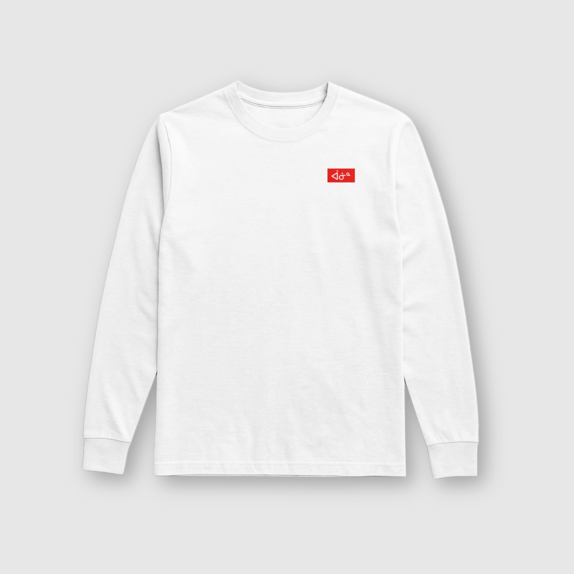 aaniin Box Logo LS Tee