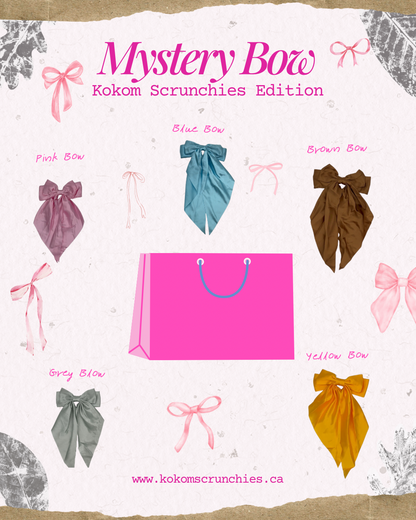 Mystery Bow with Barrette