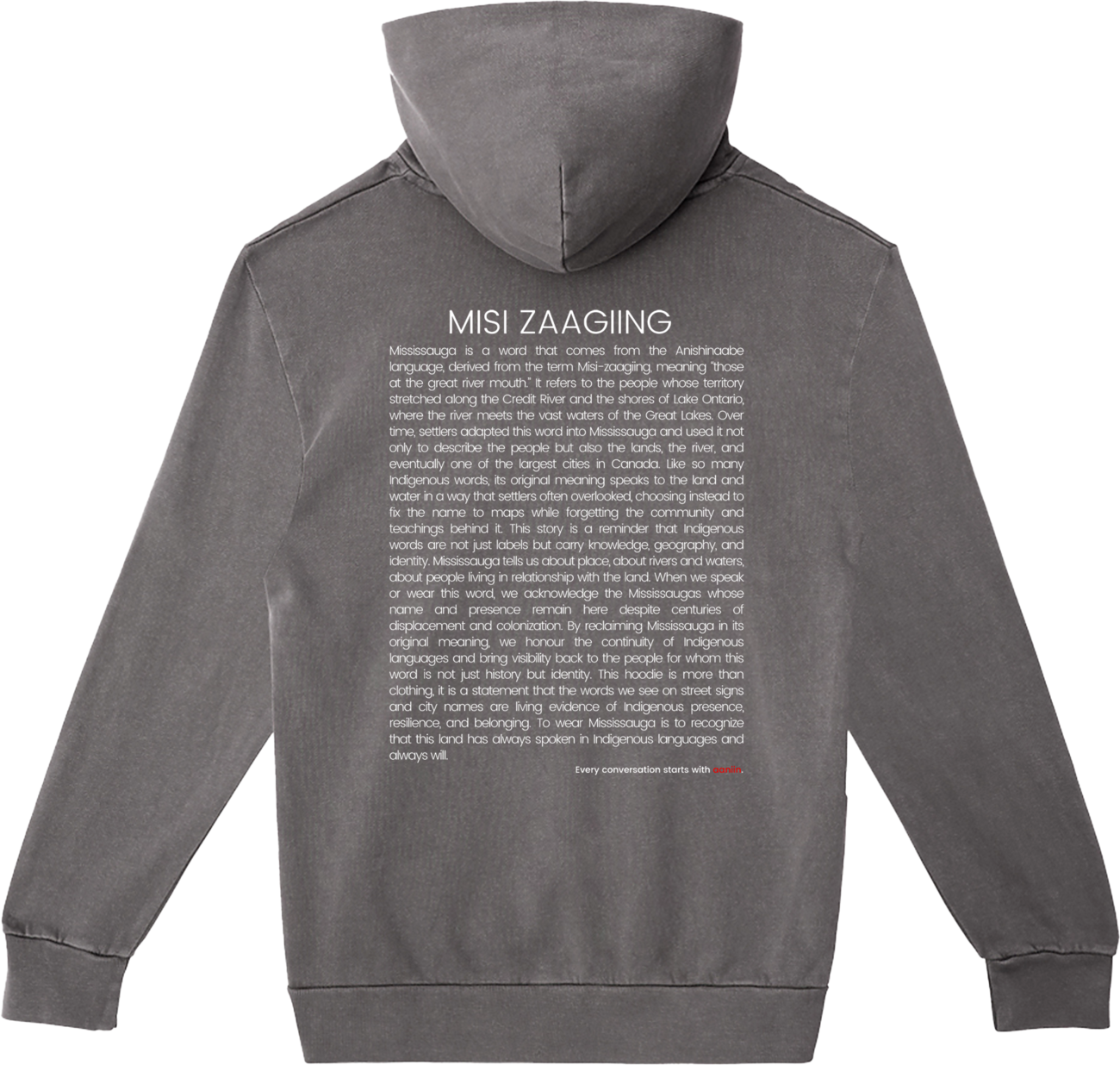 misi zaagiing - more than land: hoodie