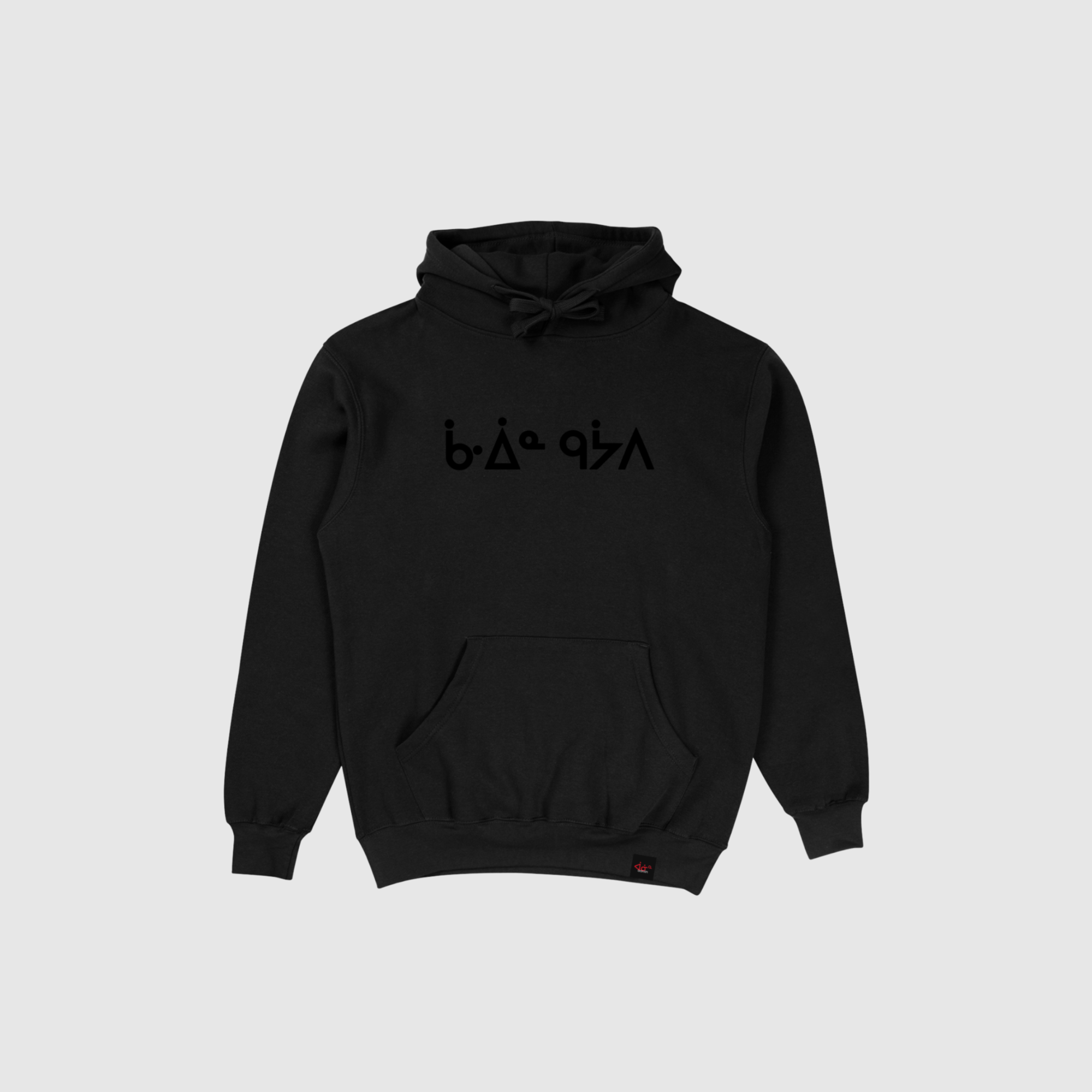 Aaniin gaawiin geyaabi Hoodie