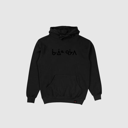 Aaniin gaawiin geyaabi Hoodie
