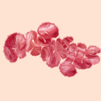 Rashelle logo in a square format