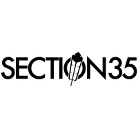 Section 35  logo in a square format
