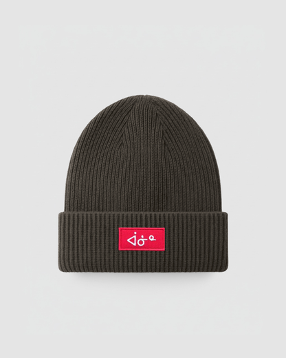 aaniin Original Beanie