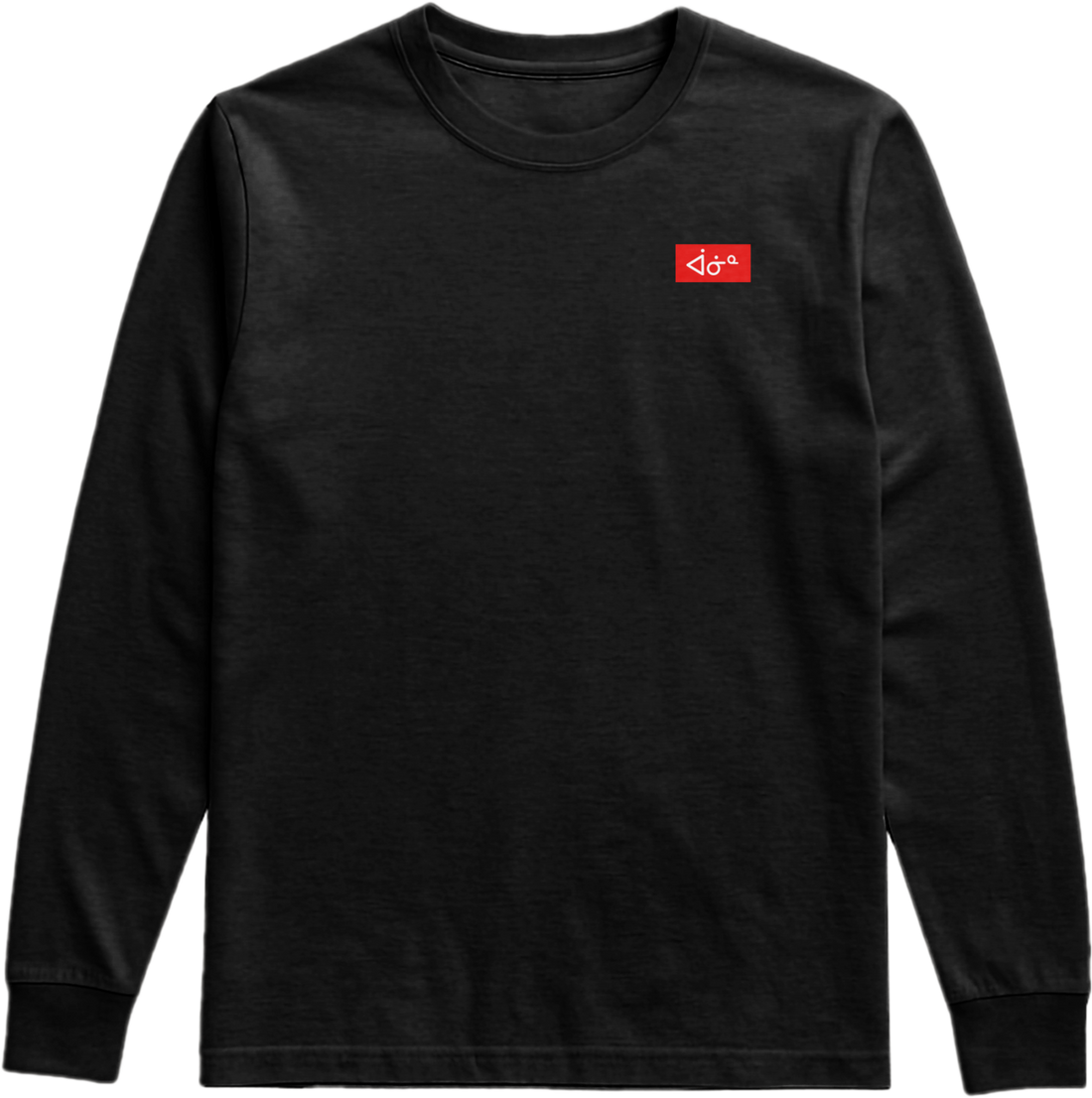 aaniin Box Logo LS Tee