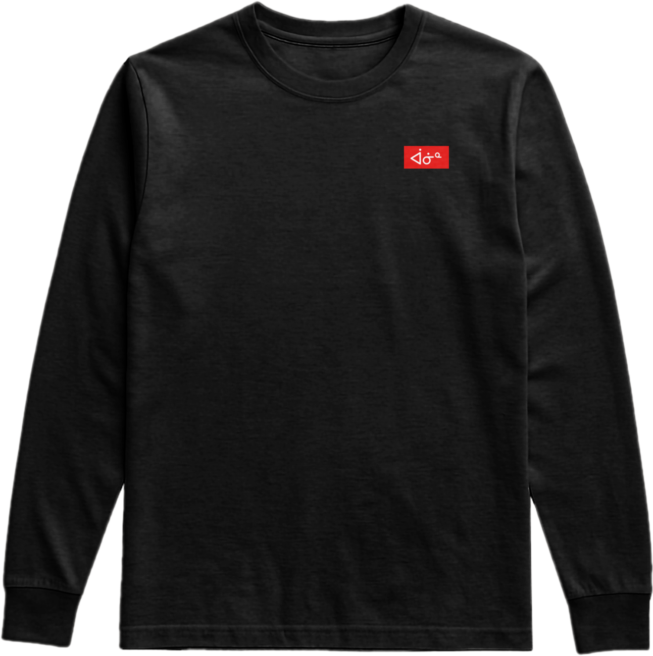 aaniin Box Logo LS Tee