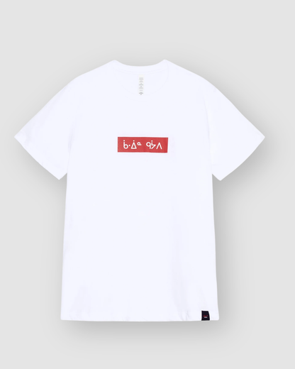 ᑳᐐᓐ ᑫᔮᐱ gaawiin geyaab [no more] T-Shirt
