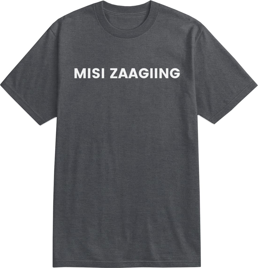 misi zaagiing - more than land: t-shirt