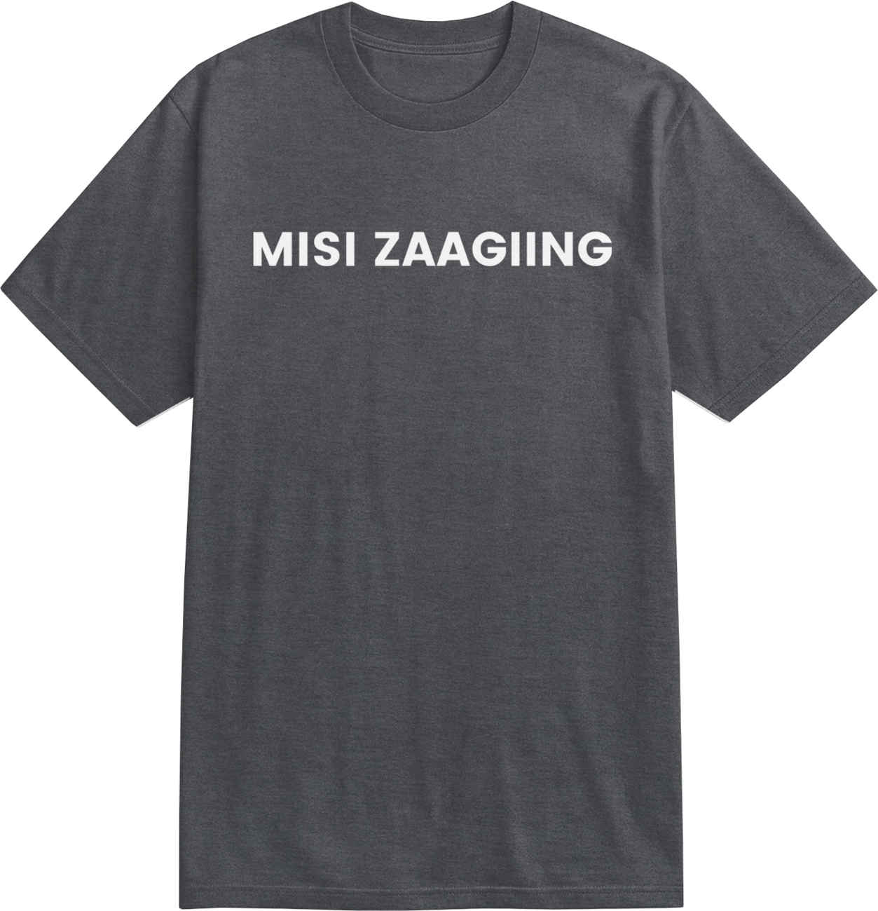 misi zaagiing - more than land: t-shirt