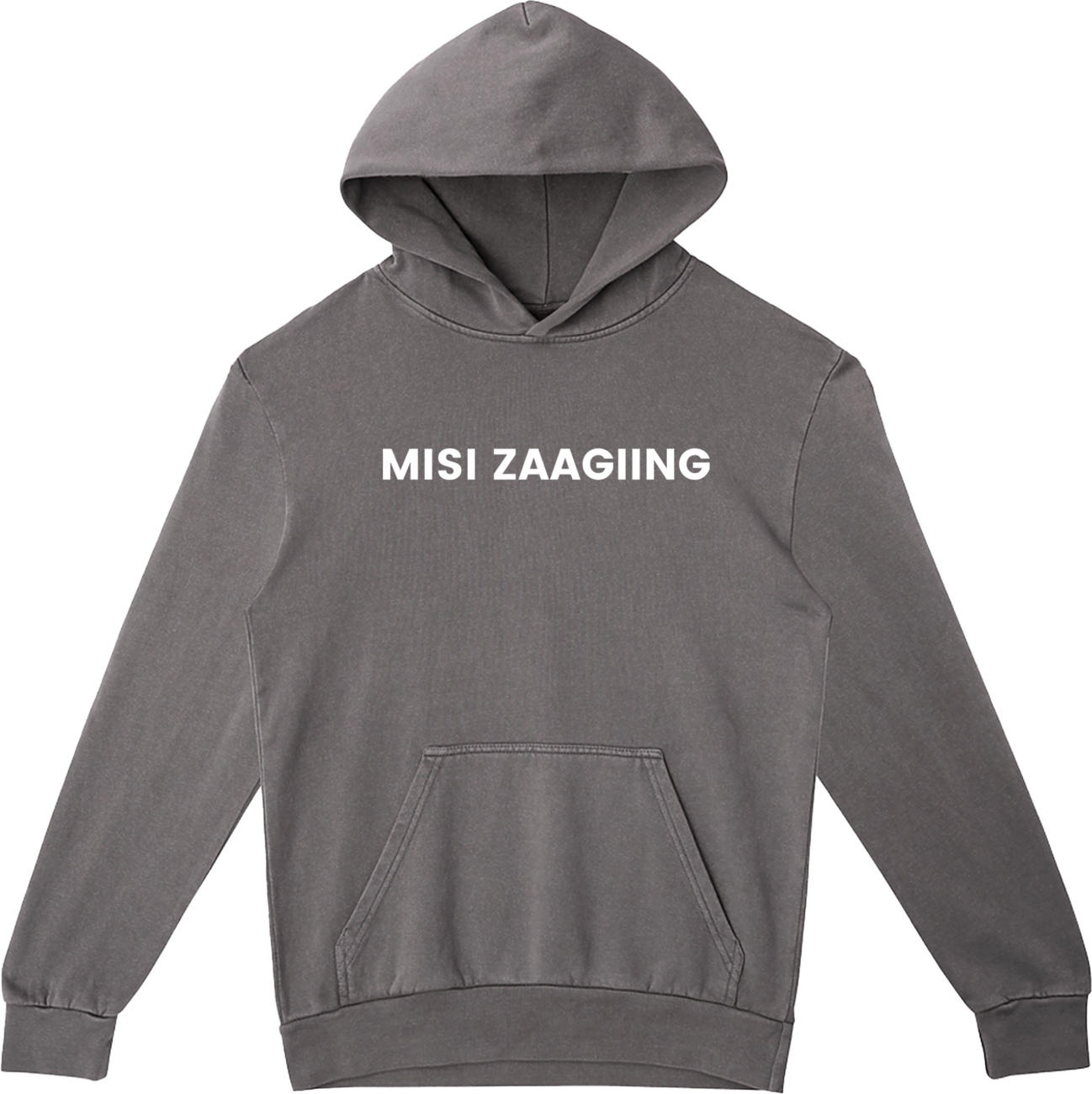 misi zaagiing - more than land: hoodie