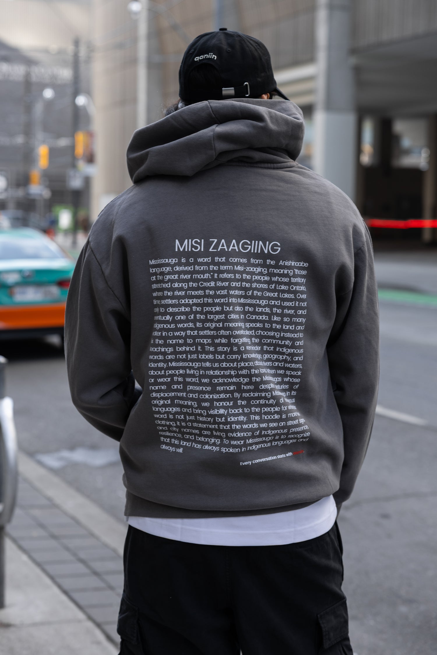 misi zaagiing - more than land: hoodie